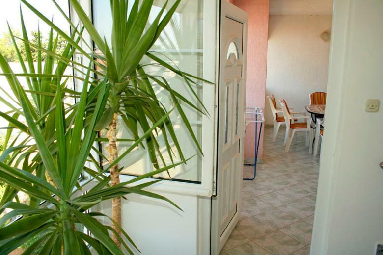 Apartments Mirjana - Stara Novalja Exterior photo